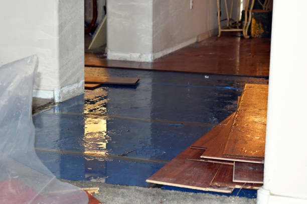 Professional Water Extraction technician working in Fawnskin, CA